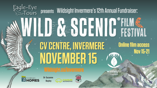 Graphic advertising Wild & Scenic Film Fest with mountain and heron