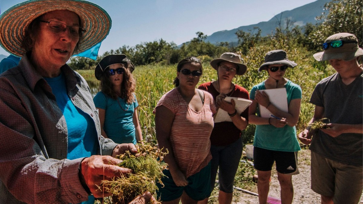 Photo of Suzanne Bayley with students looking at aquatic plants