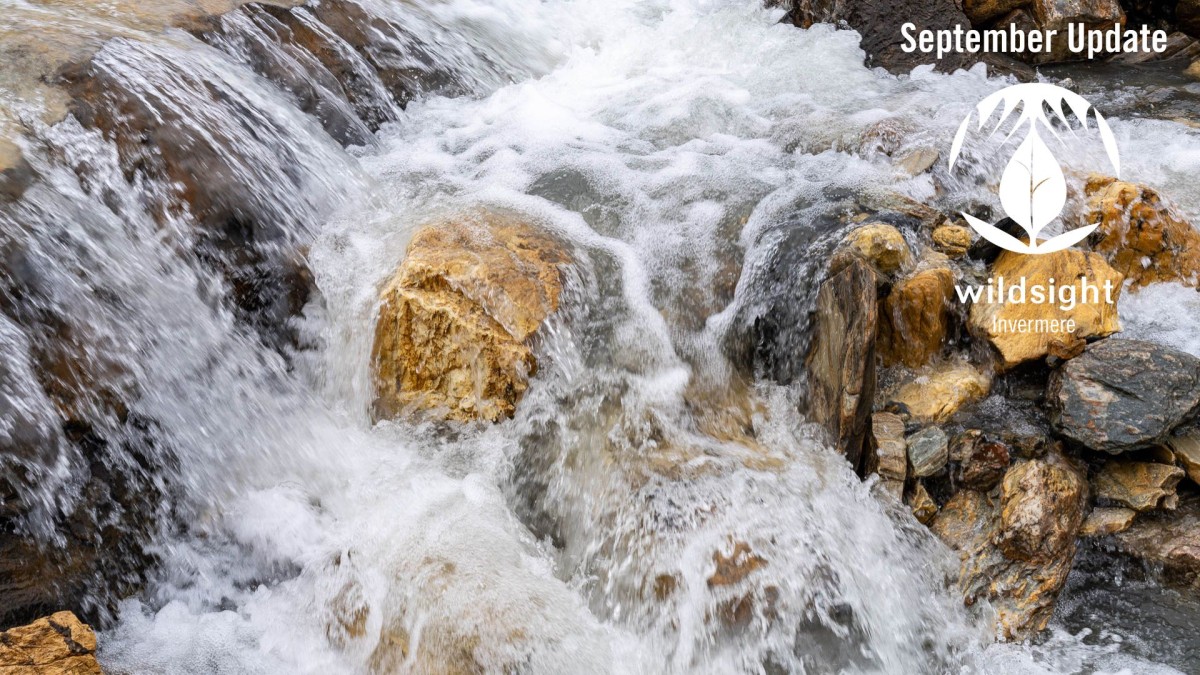 white water foaming over light brown rocks