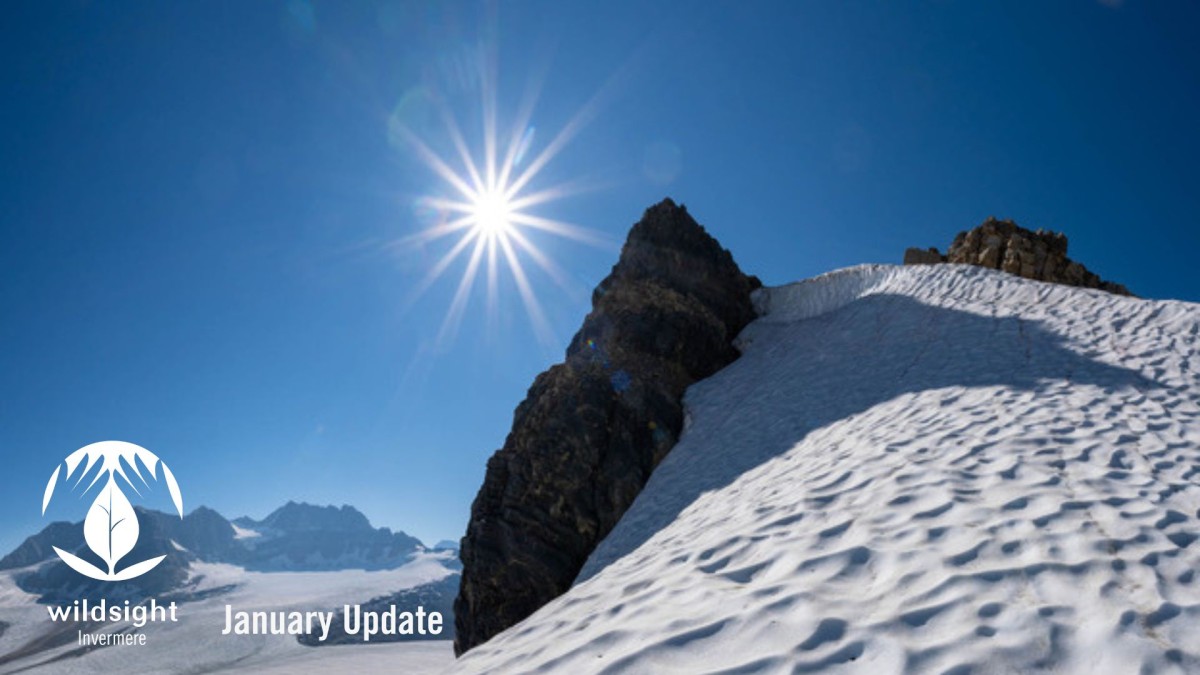 Sunshine starburst over a snowy mountain peak