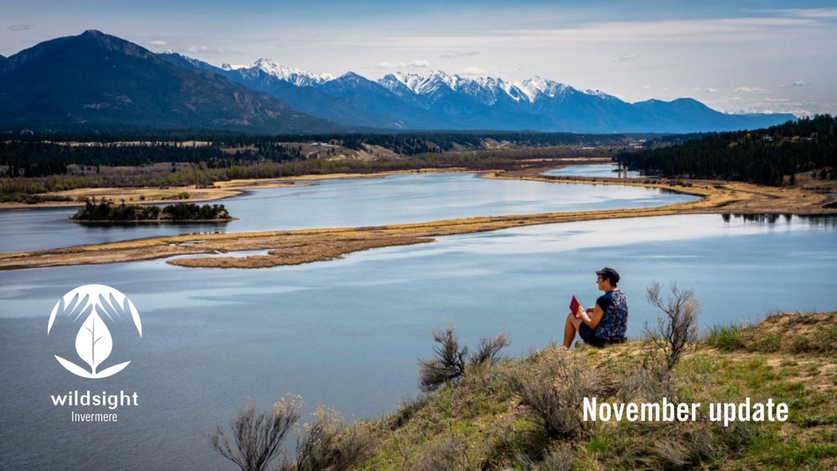 Scenic view of wetlands with mountains behind and a lady sitting in the foreground with a book