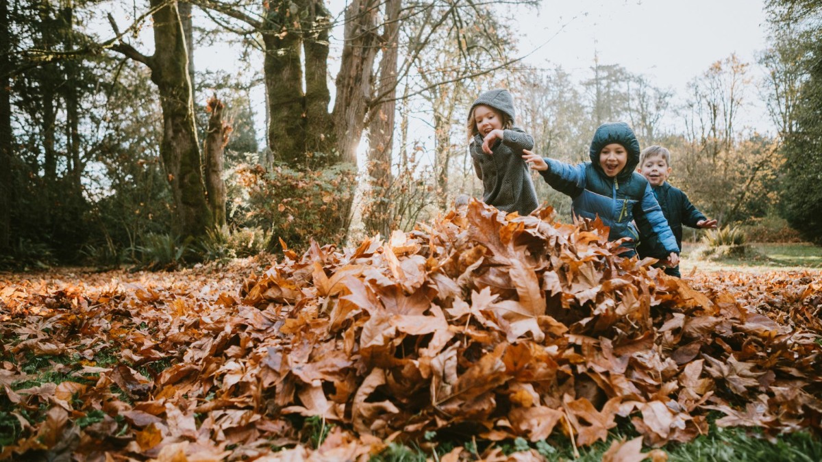 Three children running happily into a pile of brown leaves