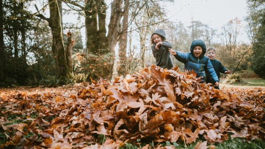 three children running happily into a pile of brown leaves