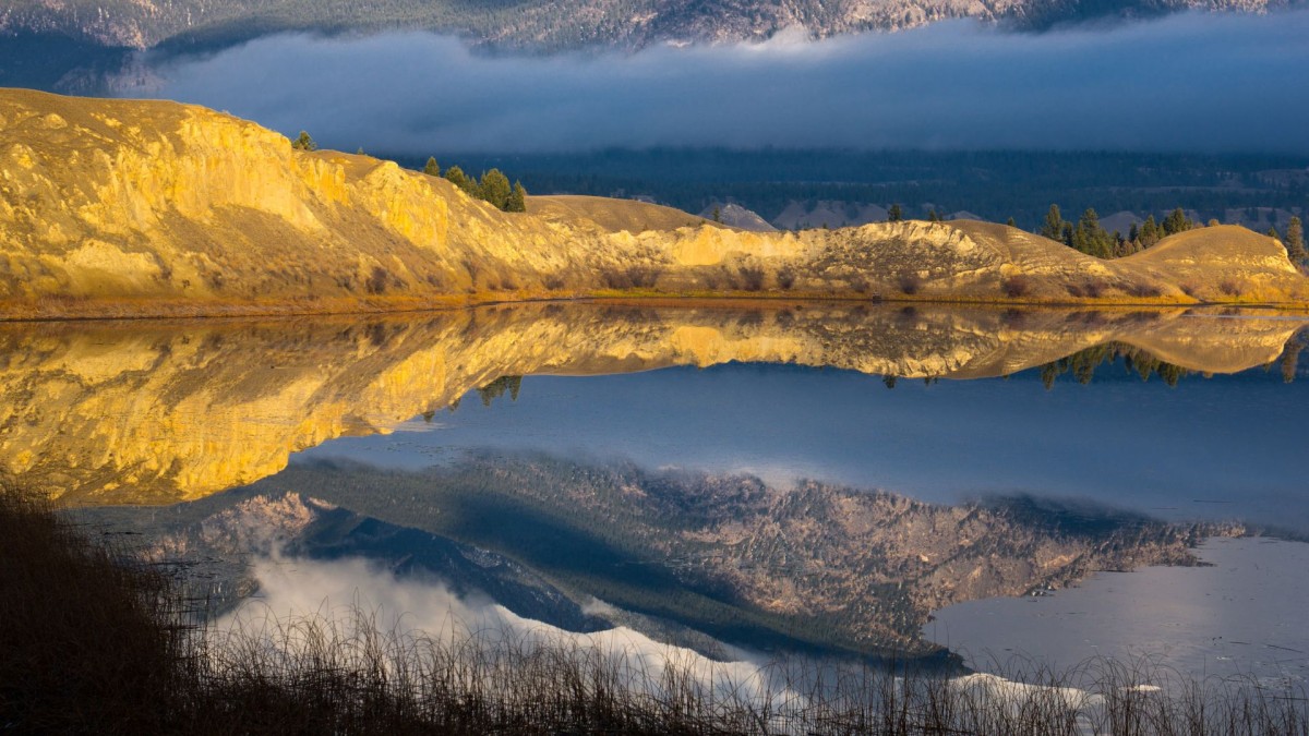 Photo of Ritchie's Point promontory bathed in yellow sunlight, reflected in the wetlands