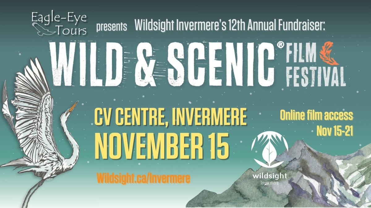 graphic advertising the Wild & Scenic Film Festival with mountain and heron