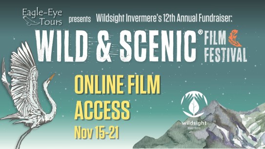 Graphic advertising Wild & Scenic Film Fest with mountain and heron
