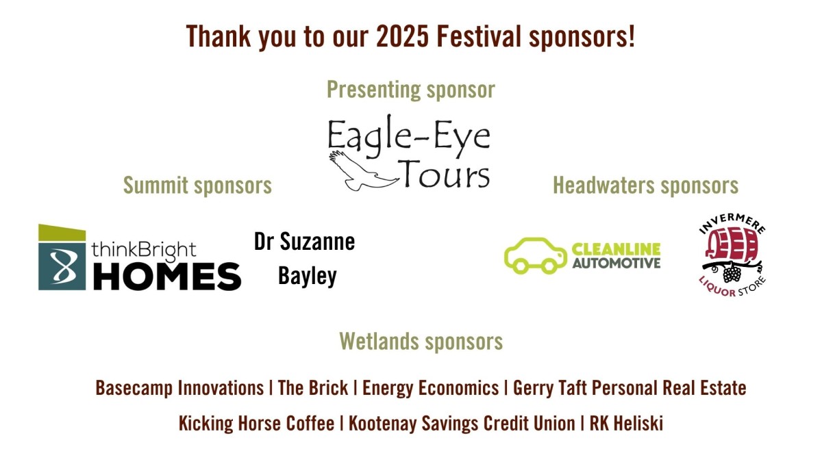 Graphic thank you to film fest sponsors