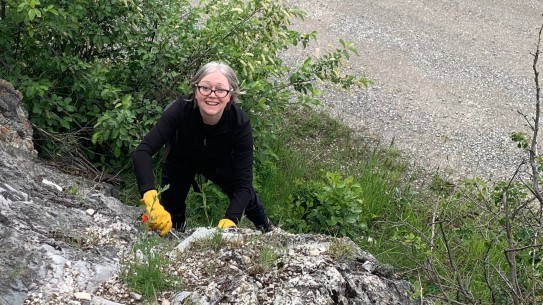 Lady wearing gloves pulling weeds from rockface