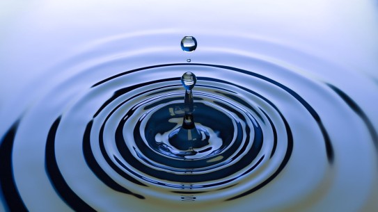 a drop of water rippling on a still surface
