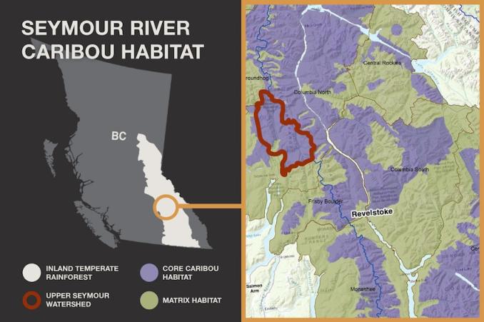 caribou habitat