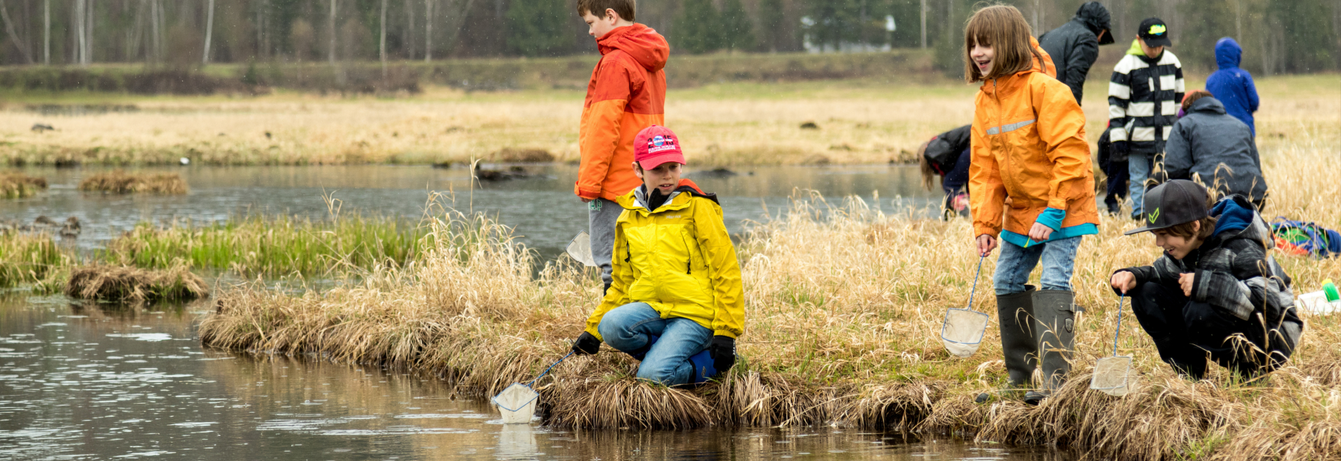Kids exploring a wetland